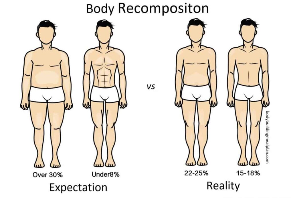 Body Recomposition